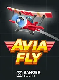 Avia Fly Avia Fly crash at BD10 COM